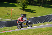 Vintage-motorcycle-club;eventdigitalimages;mallory-park;mallory-park-trackday-photographs;no-limits-trackdays;peter-wileman-photography;trackday-digital-images;trackday-photos;vmcc-festival-1000-bikes-photographs